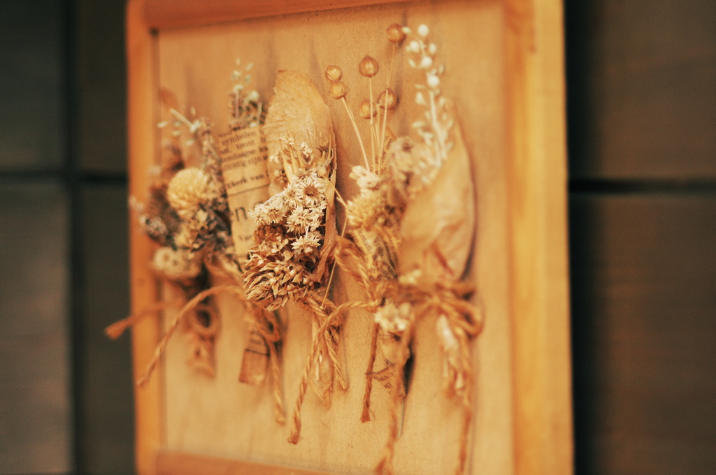 dried flowers #6