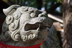 阿