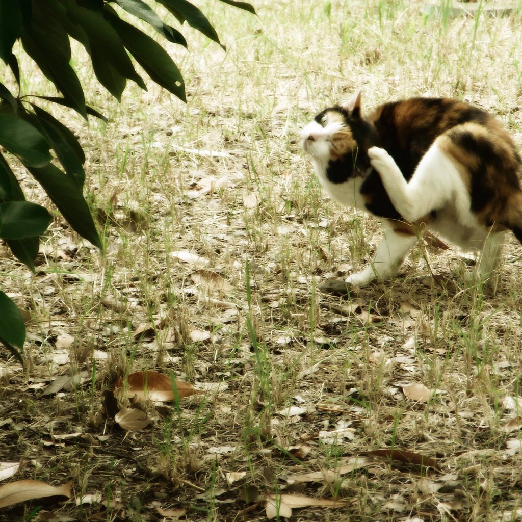 昼休みに公園で