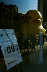 カメラ女子ズ