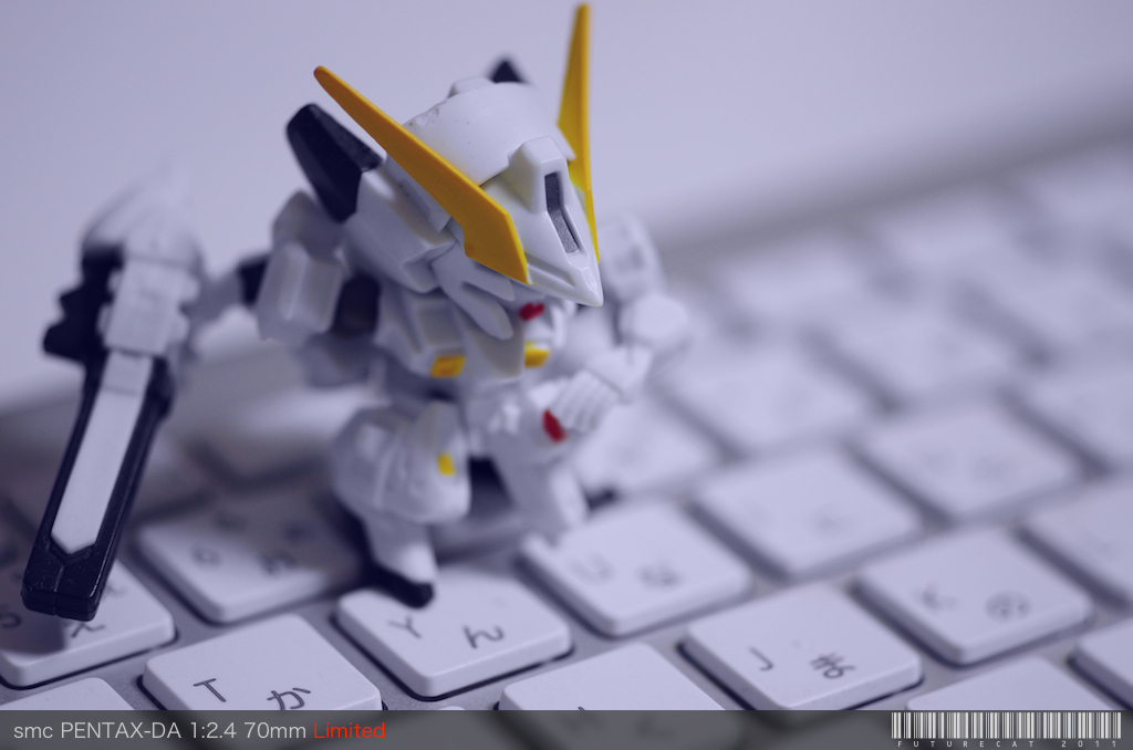 ウーンドウォート