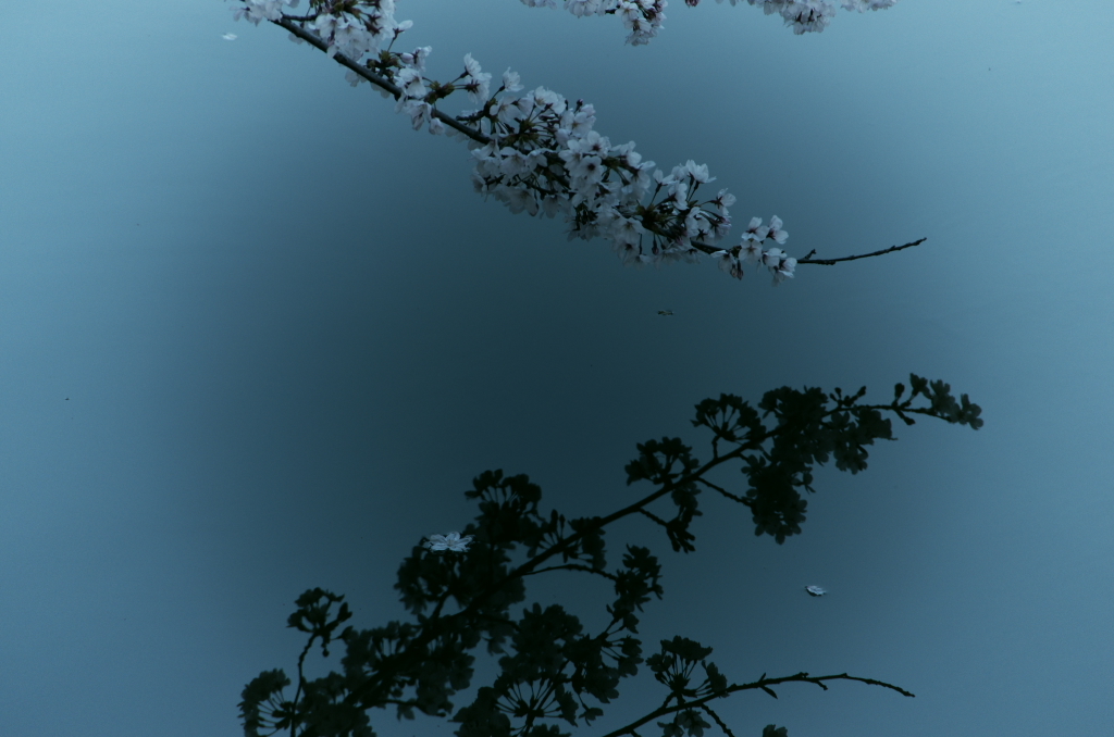 薄墨