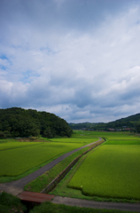 Cloudy village
