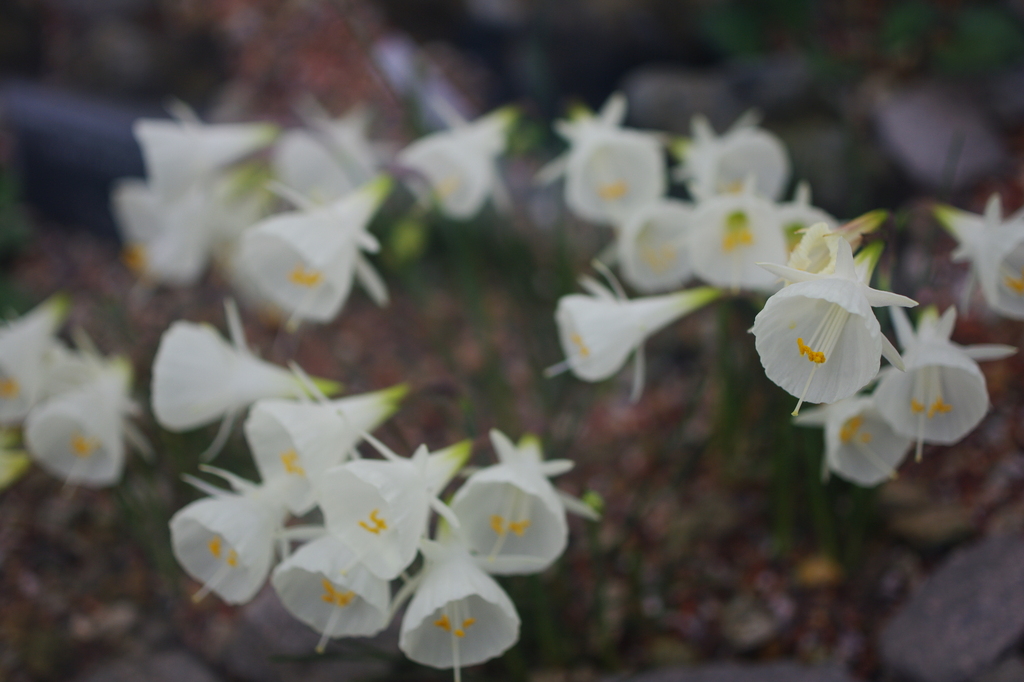 Macro World #10