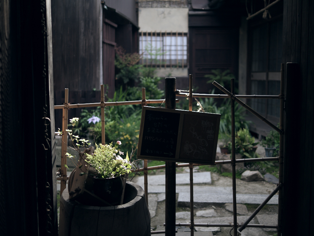 潮待ちの港は猫の町 #16