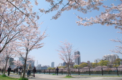 桜ノ宮公園