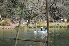 井の頭公園　よくある風景　２