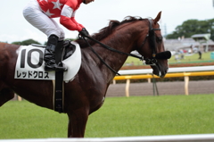 レッドクロス　久々の勝利！