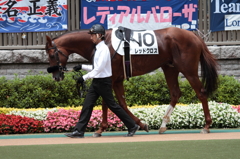 レッドクロス　久々の勝利！