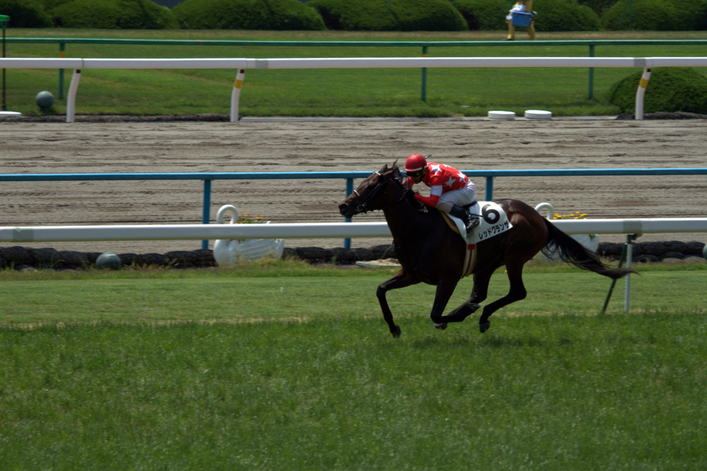 レッドグランザ　３歳未勝利戦　勝利