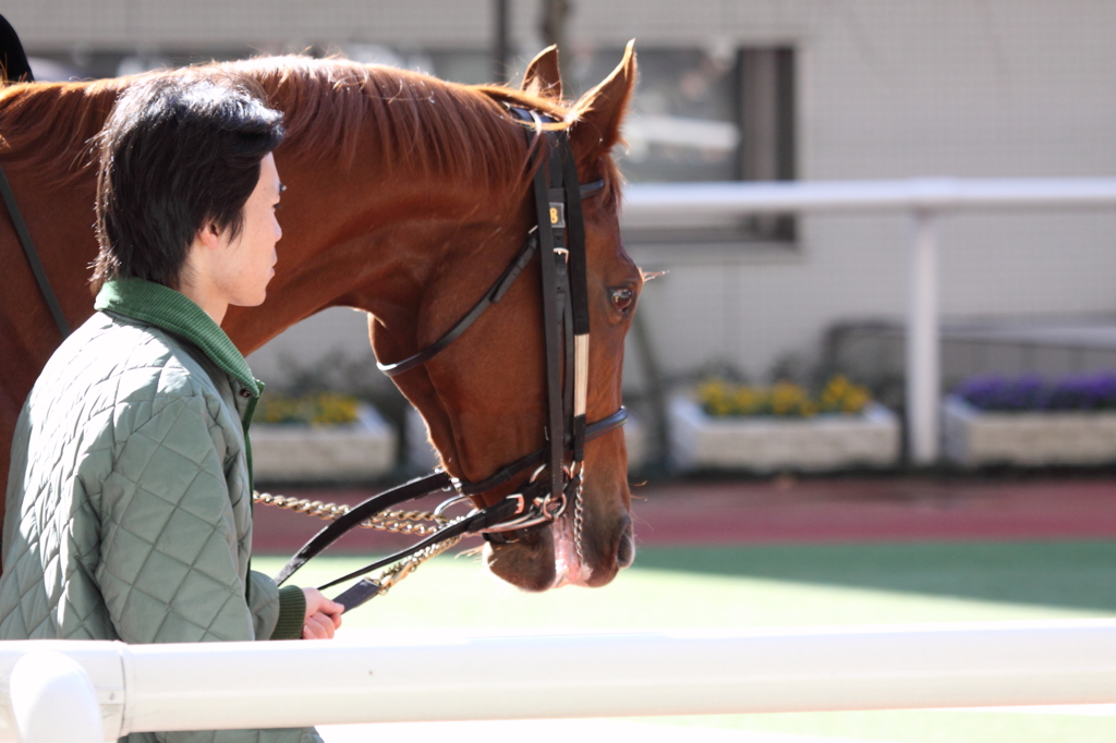 レッドステラーノ