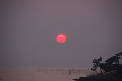 宍道湖の夕日