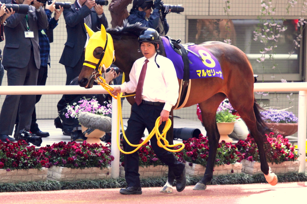 マルセリーナ