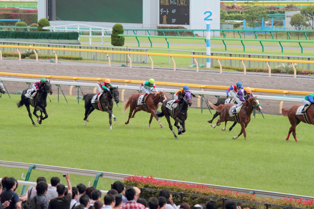 クロムレック　デビュー戦