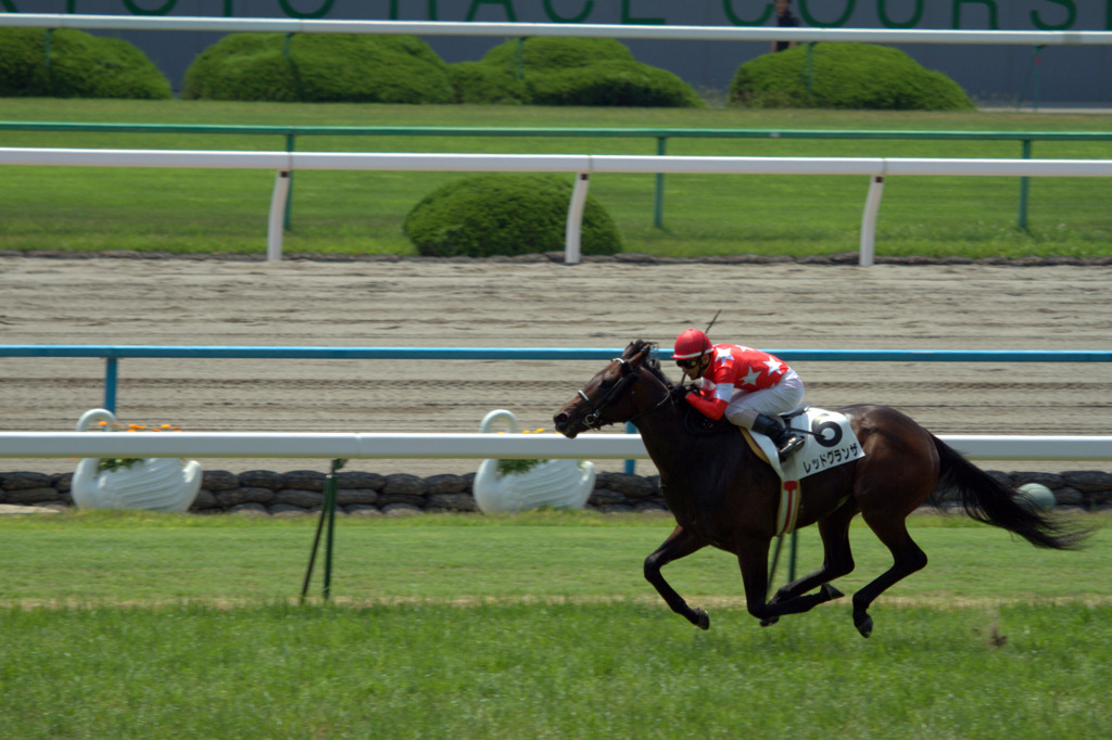 レッドグランザ　３歳未勝利戦　勝利