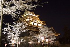 松江城の桜