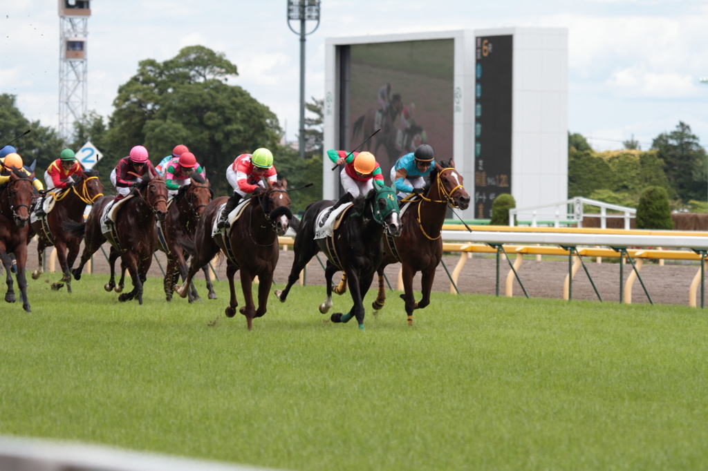 レッドクロス　久々の勝利！