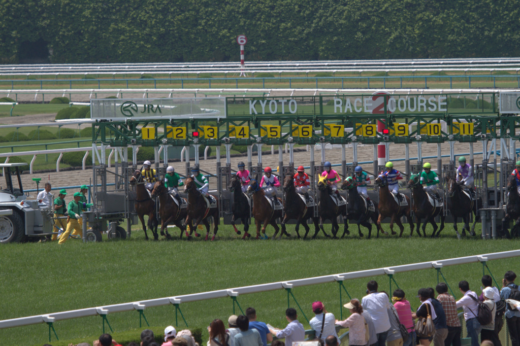 レッドグランザ　３歳未勝利戦　勝利