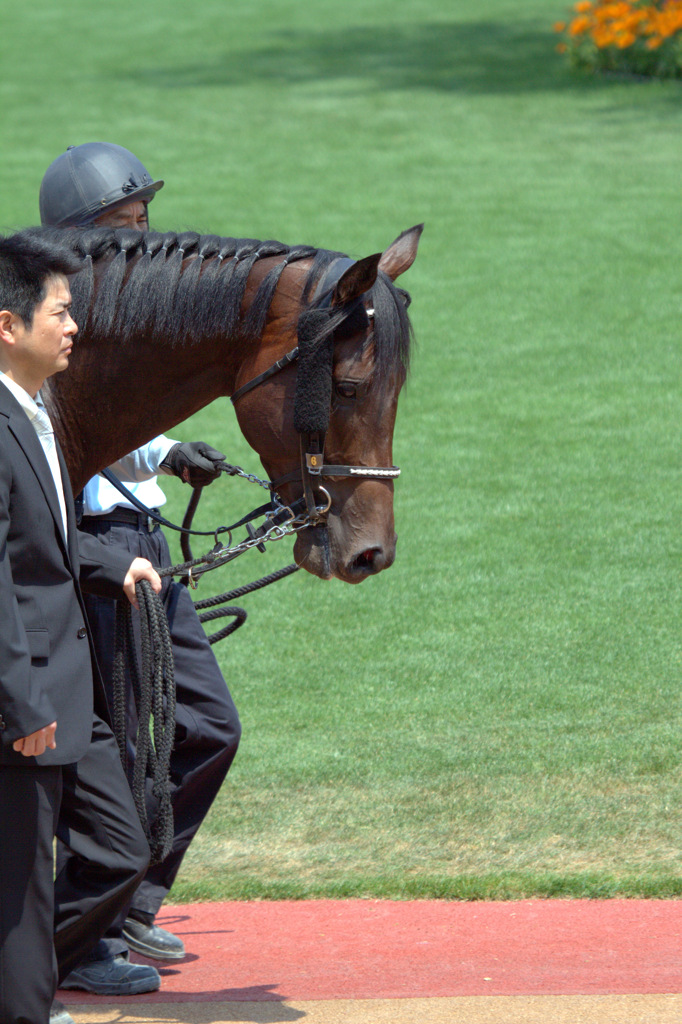 レッドグランザ　３歳未勝利戦　勝利