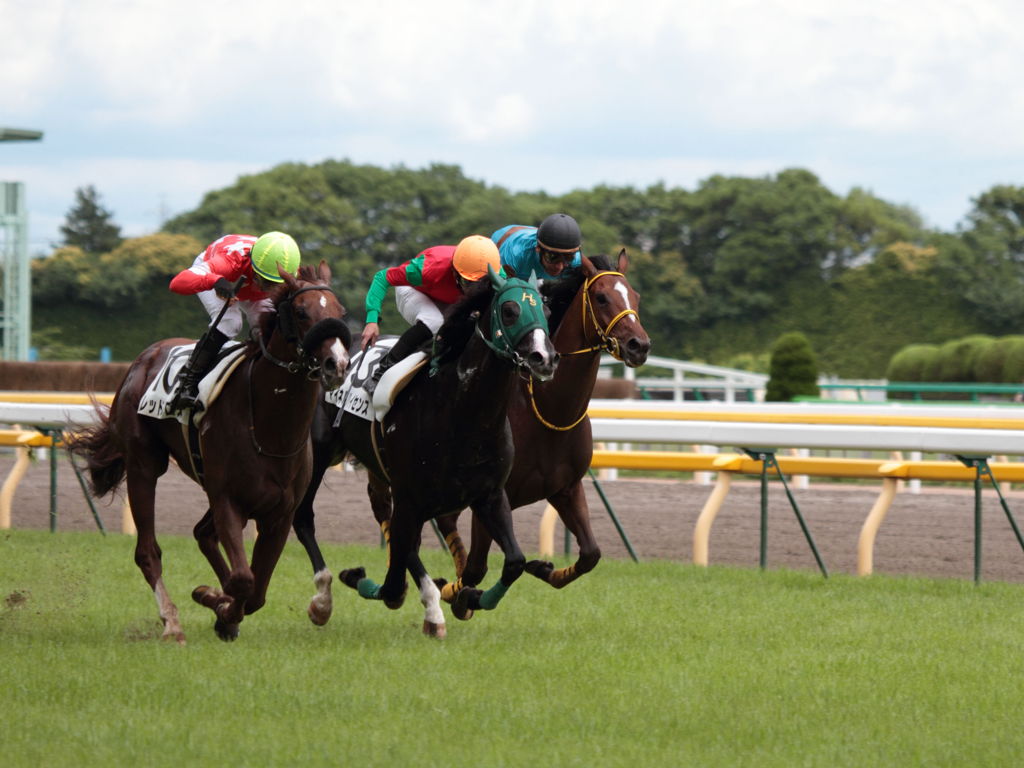 レッドクロス　５００万勝ち