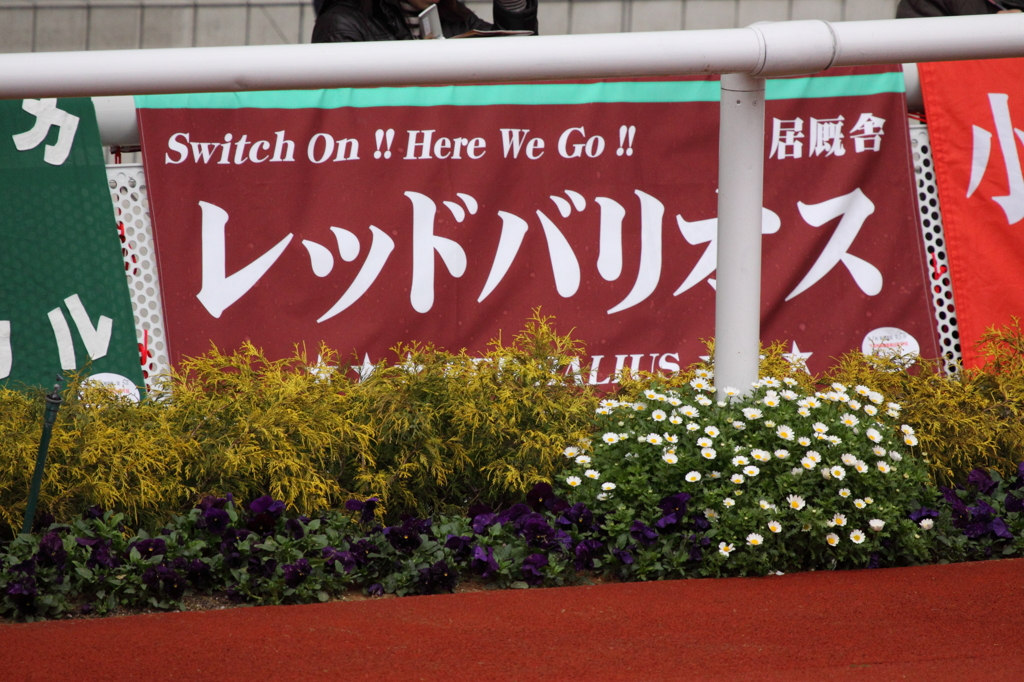 レッドバリオス　横断幕