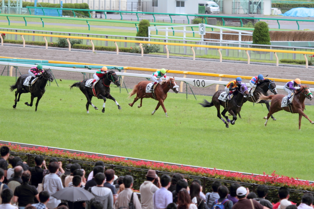 クロムレック　デビュー戦