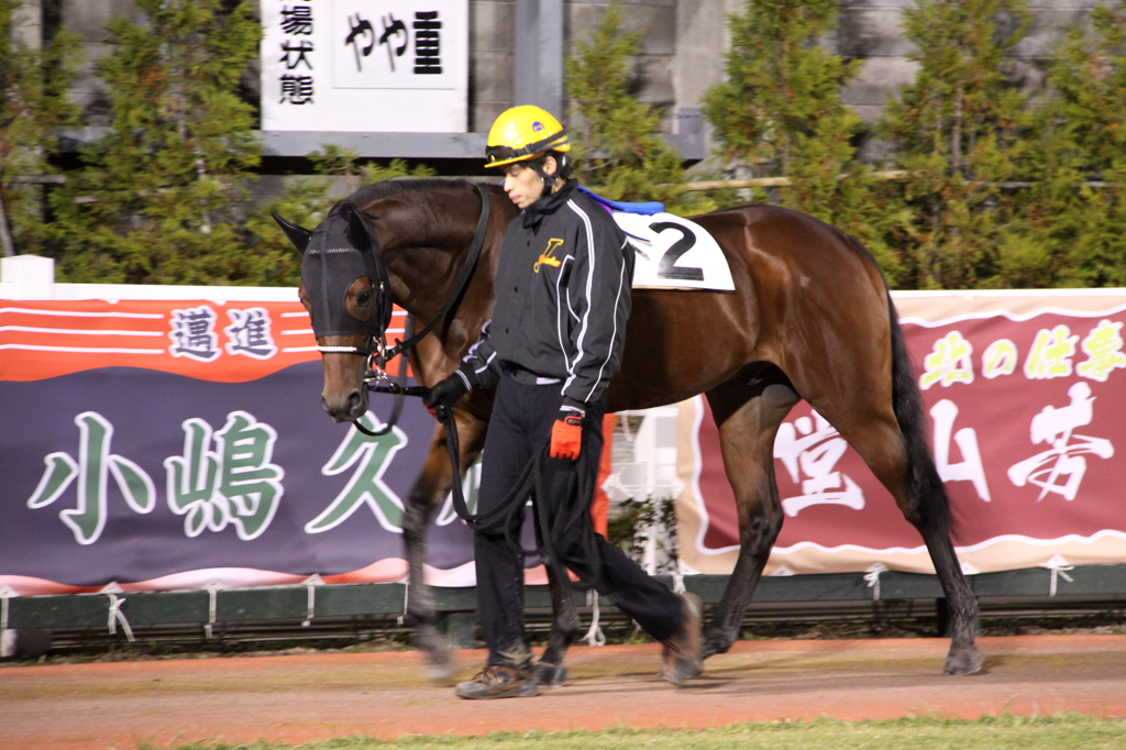 門別競馬　セイルオンザグラス