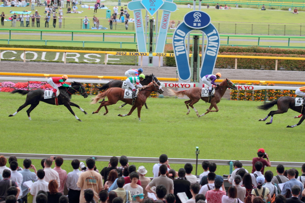 クロムレック　デビュー戦