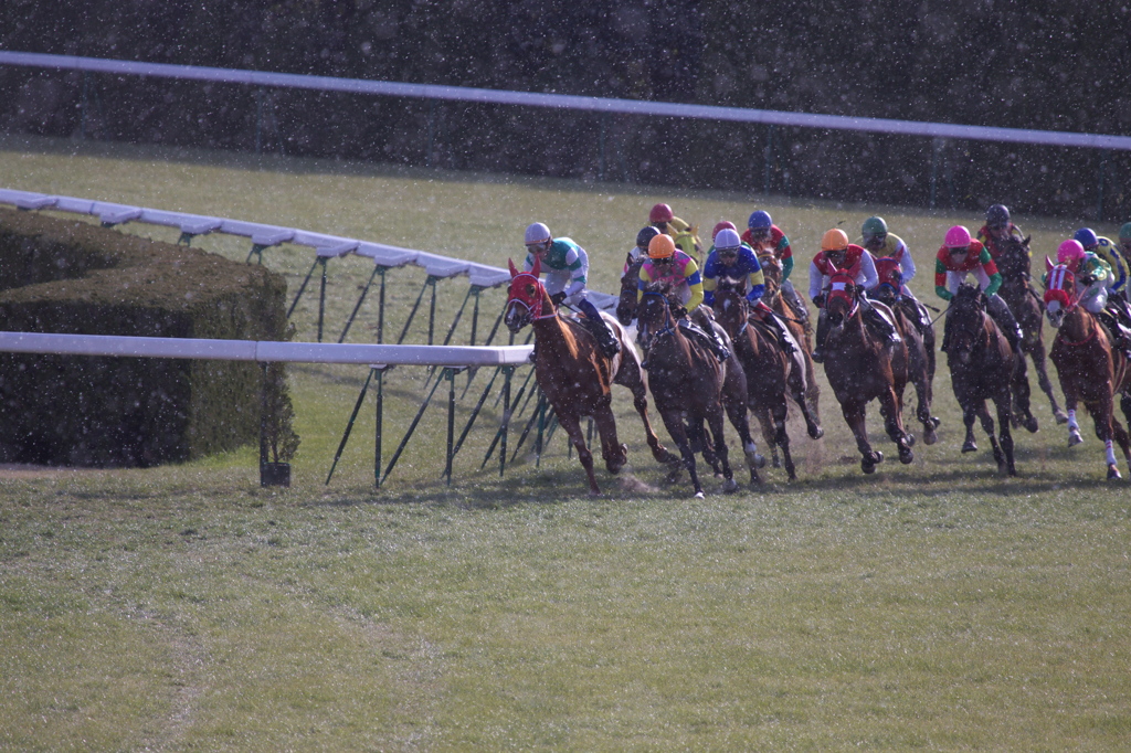 雪競馬