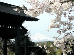 北山本門寺黒門