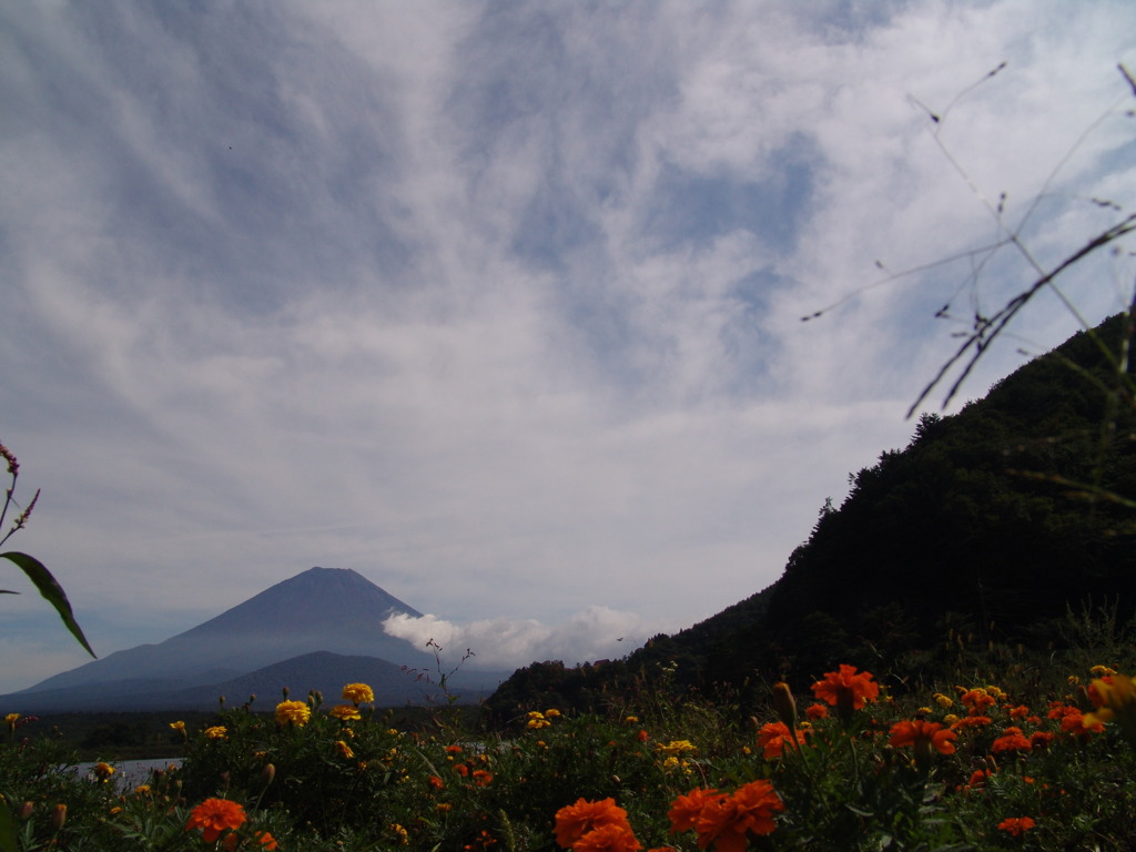 花たちの富士山