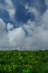 霧ヶ峰（1586）