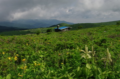霧ヶ峰（1588）