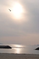 飛翔