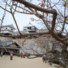 松山城