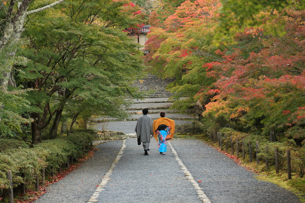 京都旅行（二尊院）