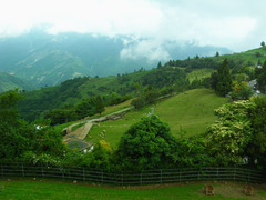 R1123928