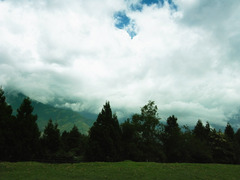 R1123896