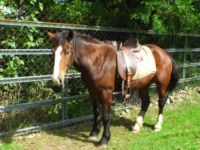 R1123917