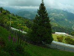 R1123918