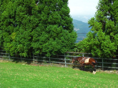 R1123914