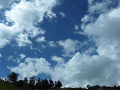 R1123904