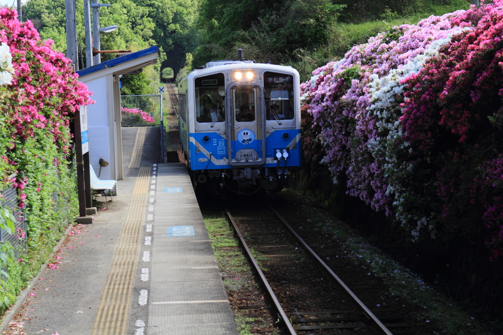 高野川駅