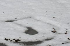 雪の音符