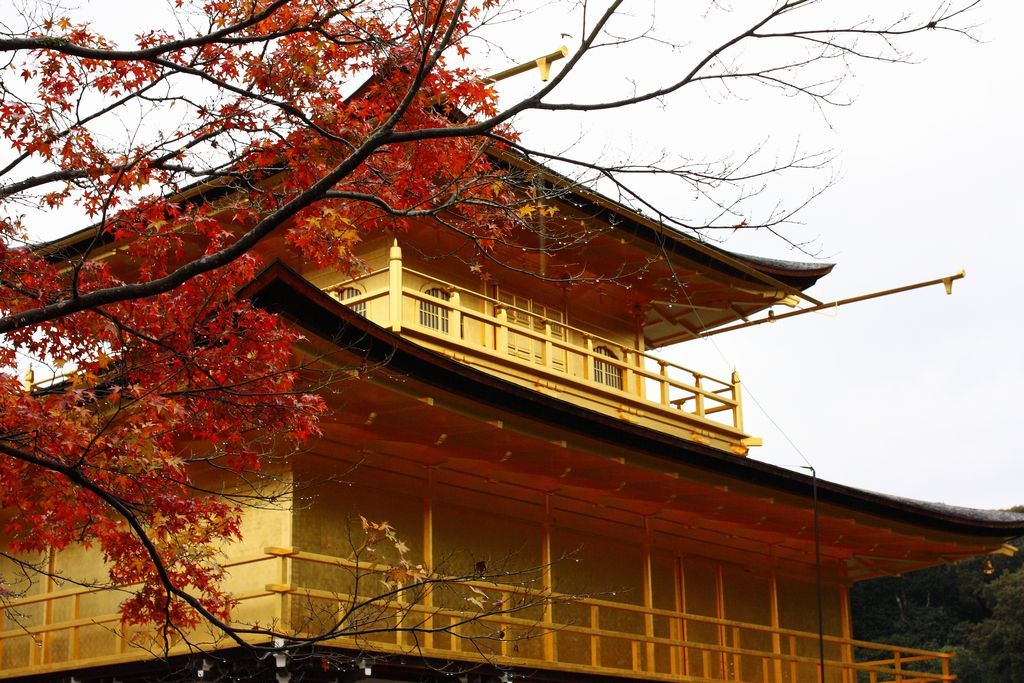 金閣寺
