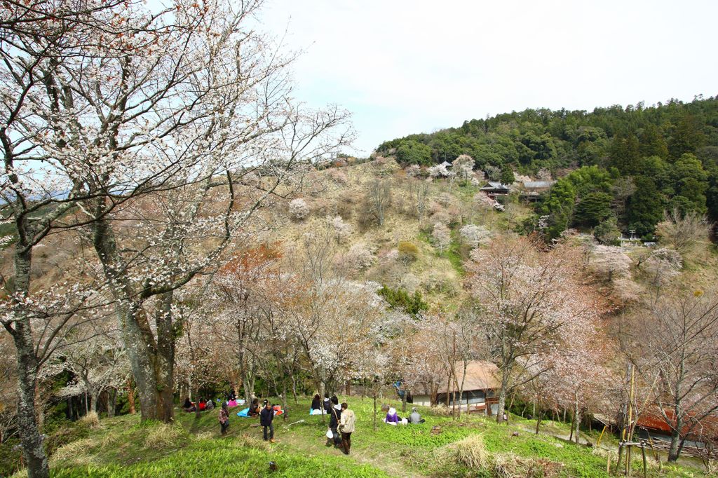 吉野山　炎上