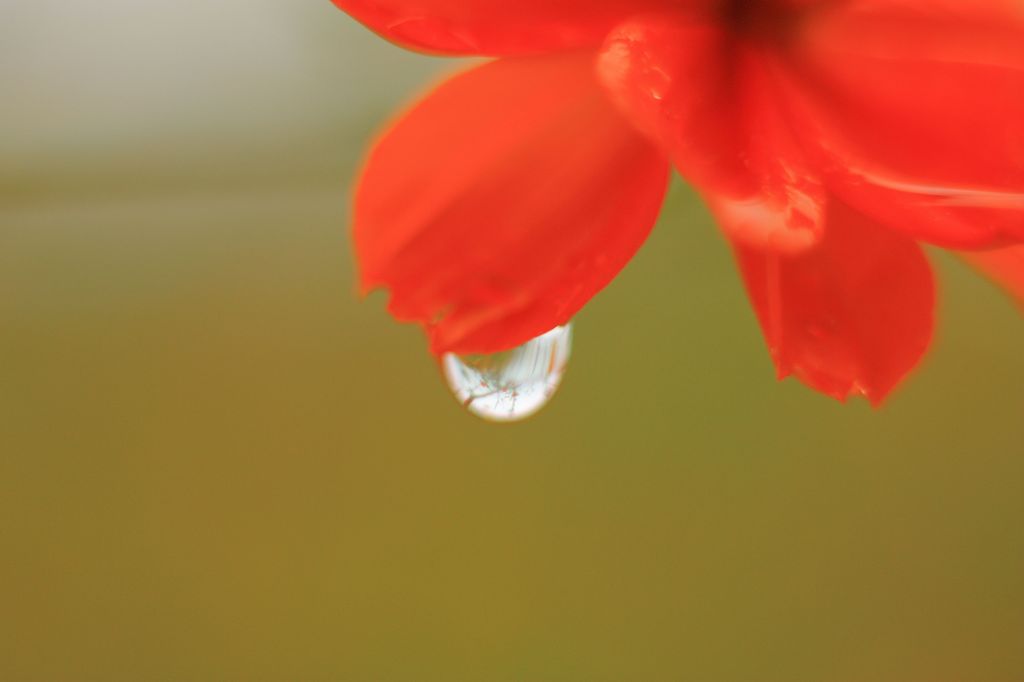 Rainy DAY 