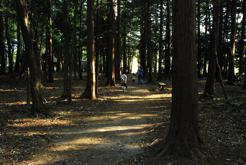 モリ森公園