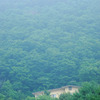 山の住人