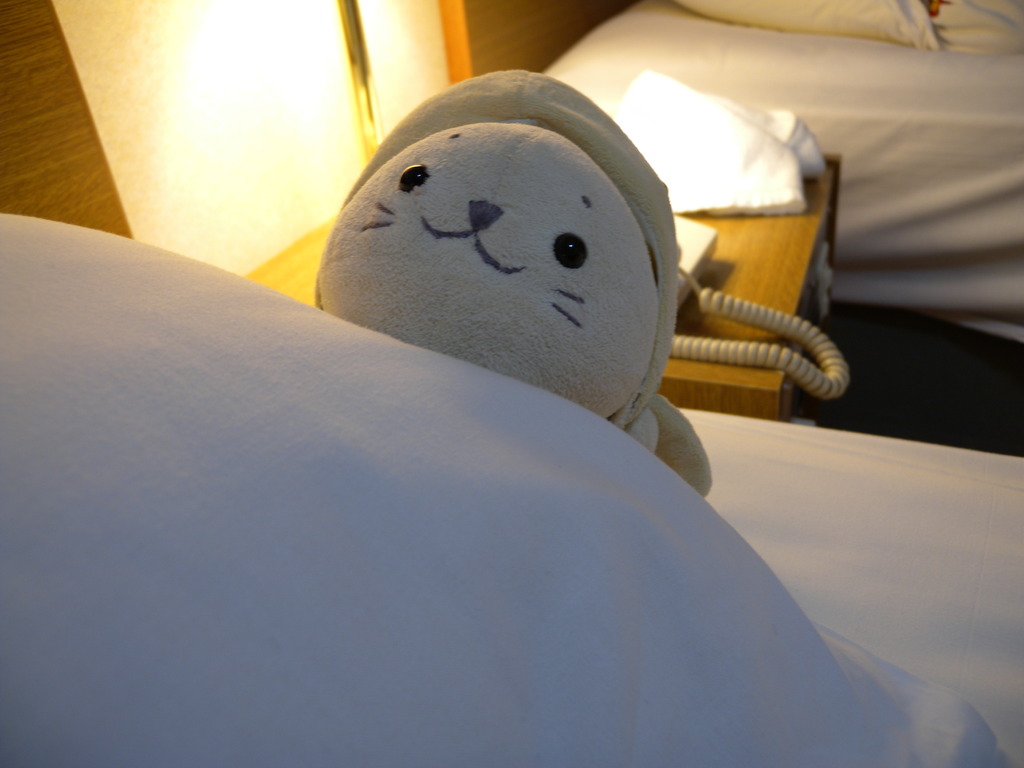 チェックインたまおさん。
